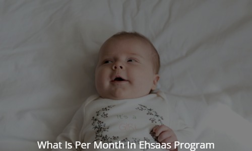 What Is Per Month In Ehsaas Program