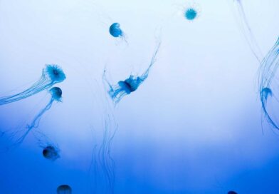 10 Bizarre Facts About Your Own Body You Were Never Taught