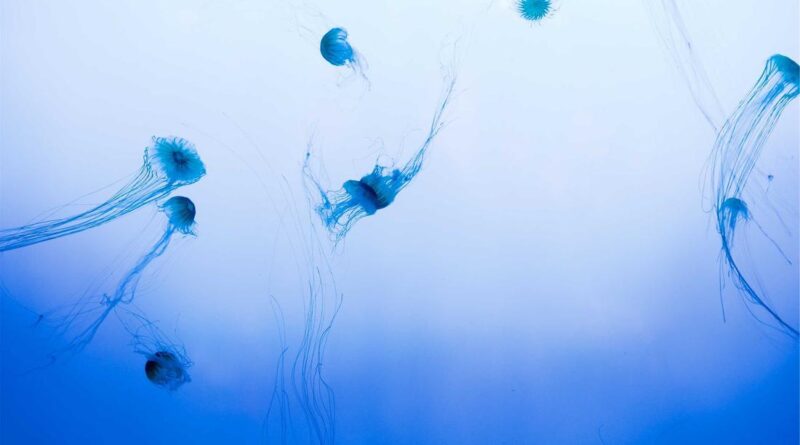 10 Bizarre Facts About Your Own Body You Were Never Taught