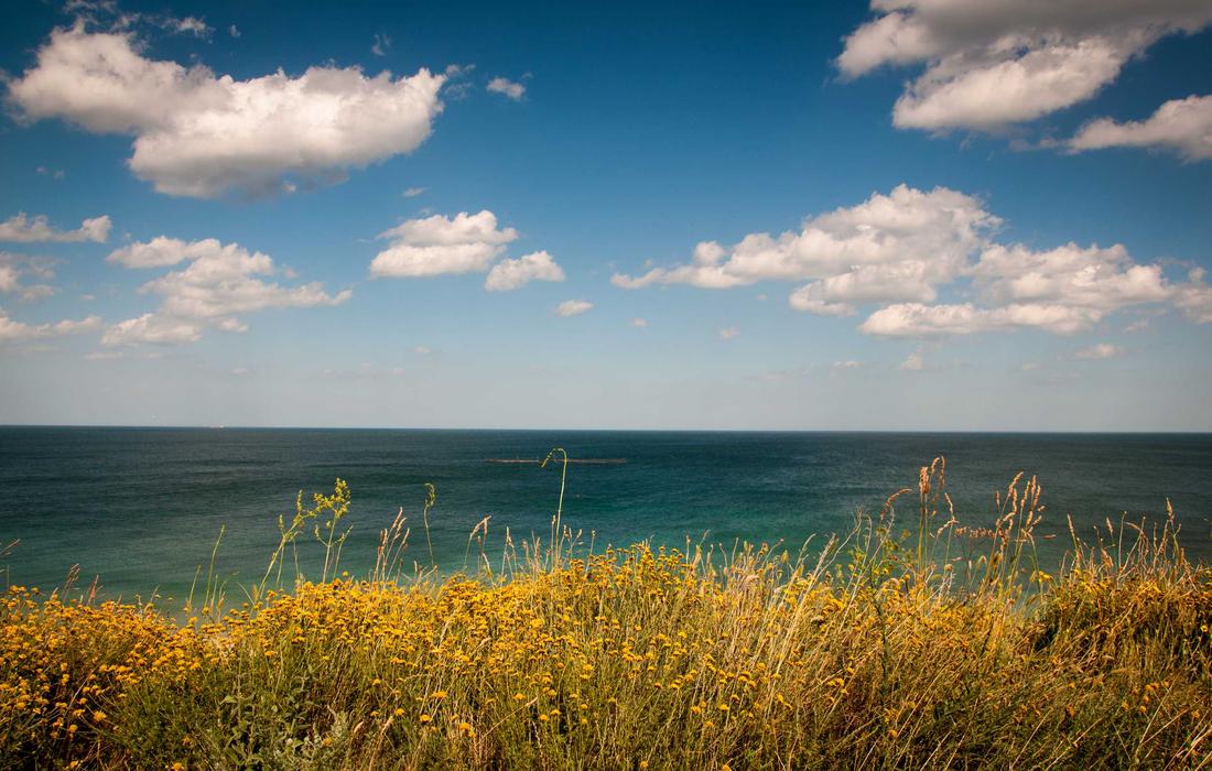 20 Photographs That Look Fake But Are Not Edited 2