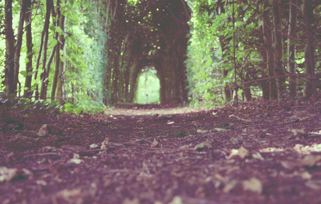 20 Photographs That Look Fake But Are Not Edited 5