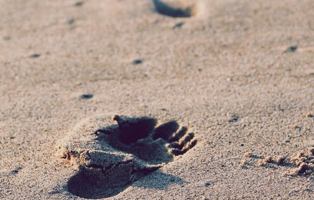 9 Habits That Quietly Make People Trust You 7
