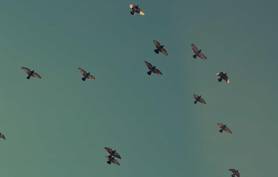 8 Money Habits That Separate People Who Save From People Who Do Not 3