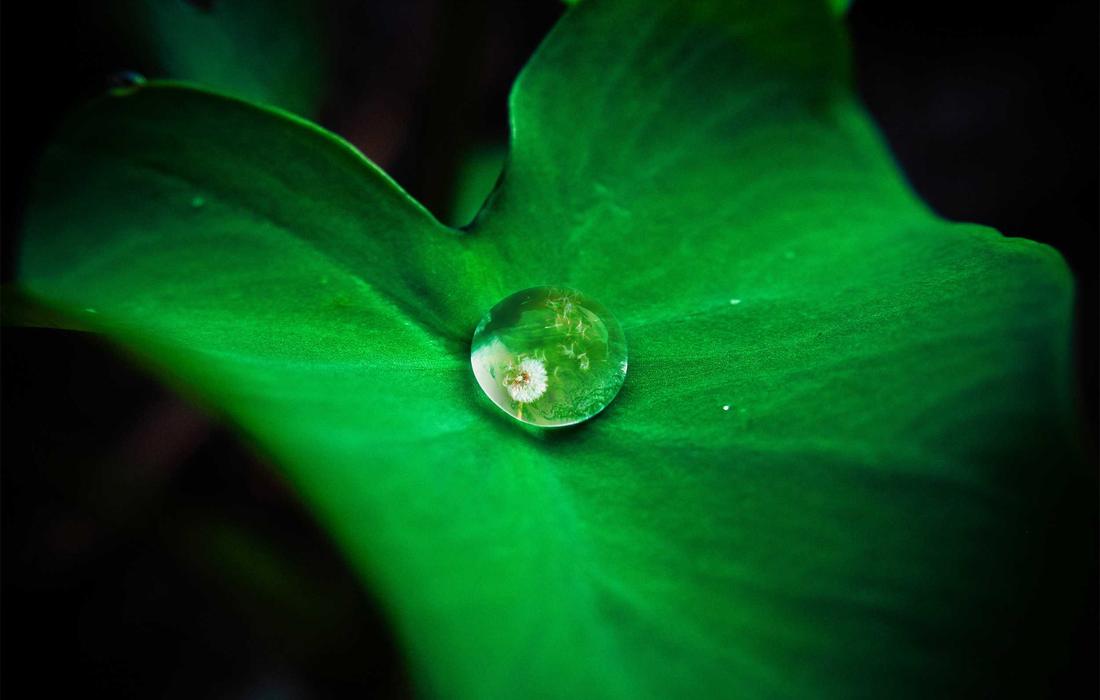 7 Optical Illusions Your Brain Refuses To Accept Even When You Know 7