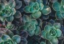 5 Small Things That Quietly Repair A Relationship