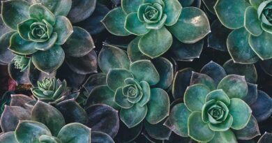 5 Small Things That Quietly Repair A Relationship
