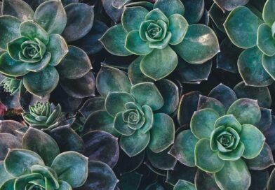 5 Small Things That Quietly Repair A Relationship