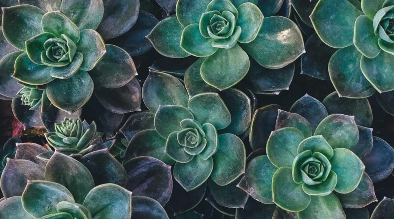 5 Small Things That Quietly Repair A Relationship