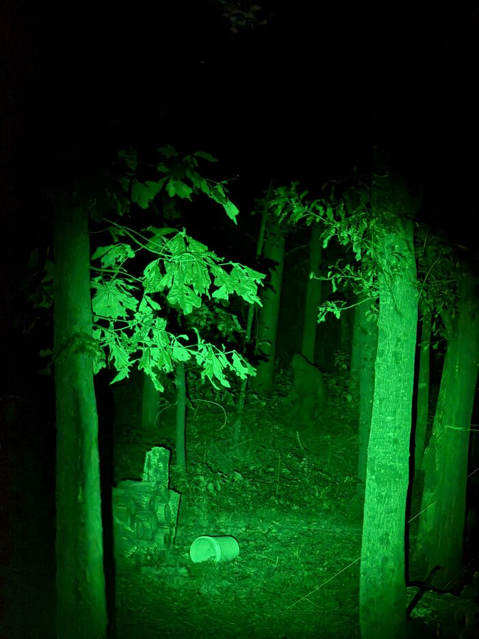 65 Terrifying Events And Photos That Might Haunt Your Thoughts For Days 10