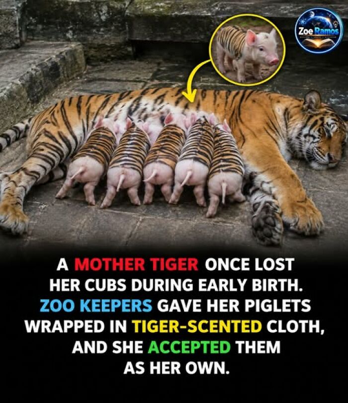 42 Odd And Unsettling World Facts That Might Keep You Up At Night 13
