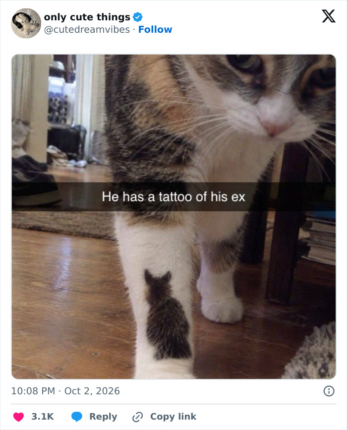 65 Feel-Good Posts That Might Be Exactly What You Need To See Today 2