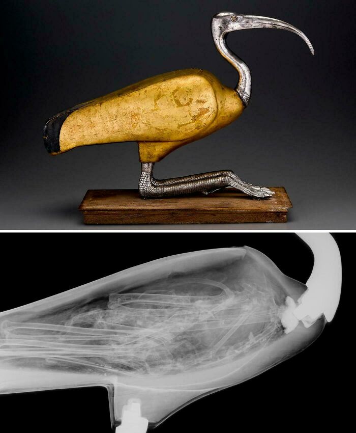 63 Interesting, Strange And Even Creepy Discoveries And Artifacts 2