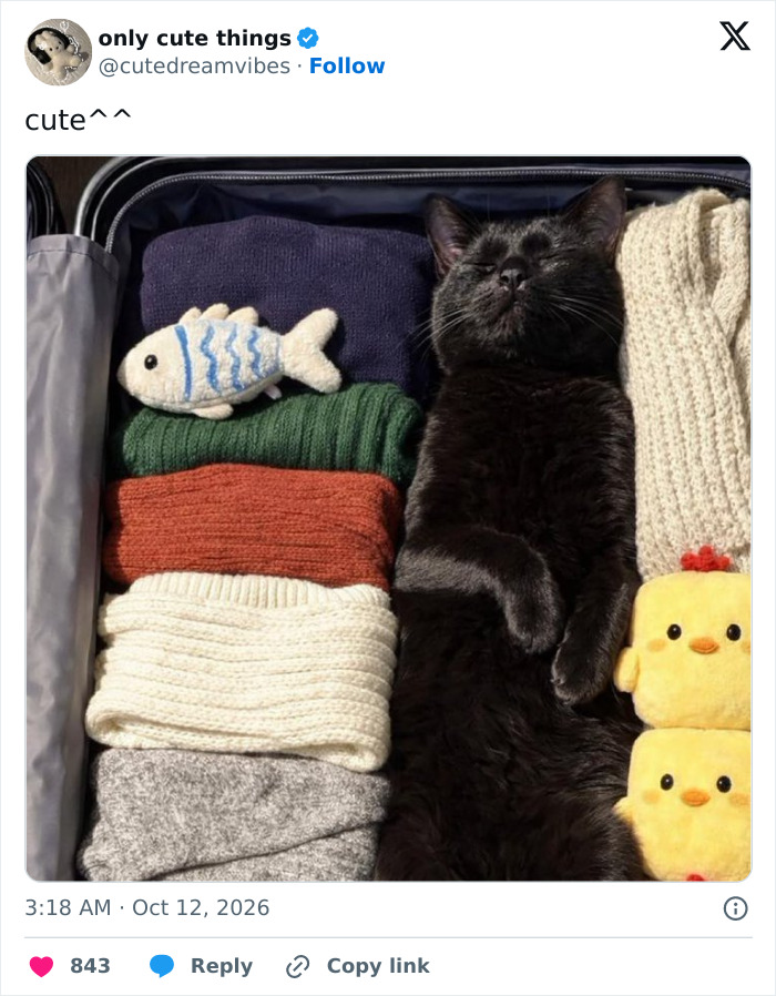 65 Feel-Good Posts That Might Be Exactly What You Need To See Today 4