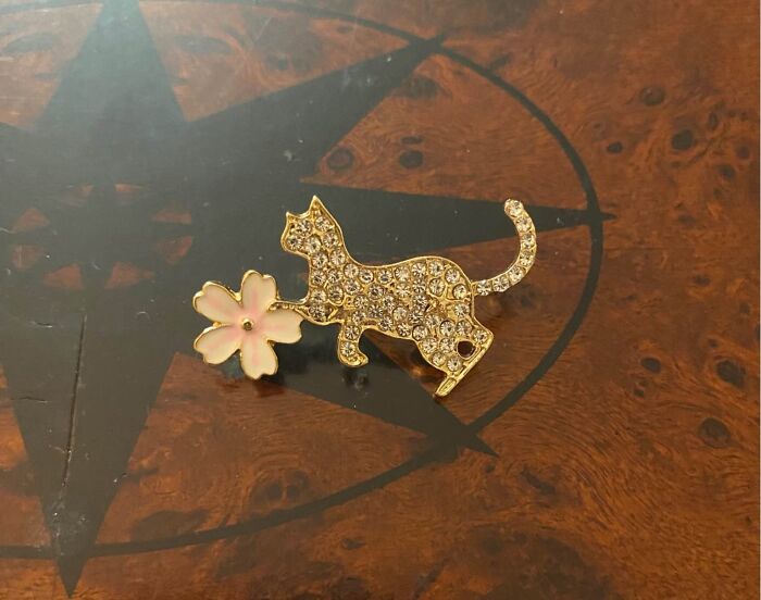 84 Weird And Wonderful Thrift Store Finds People Could Not Resist Taking Home 4