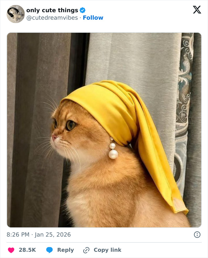 65 Feel-Good Posts That Might Be Exactly What You Need To See Today 6