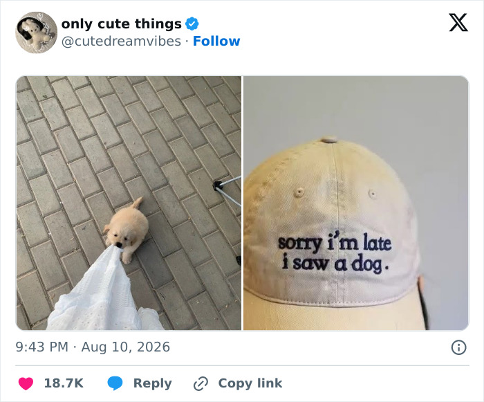 65 Feel-Good Posts That Might Be Exactly What You Need To See Today 7