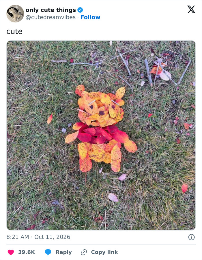 65 Feel-Good Posts That Might Be Exactly What You Need To See Today 8