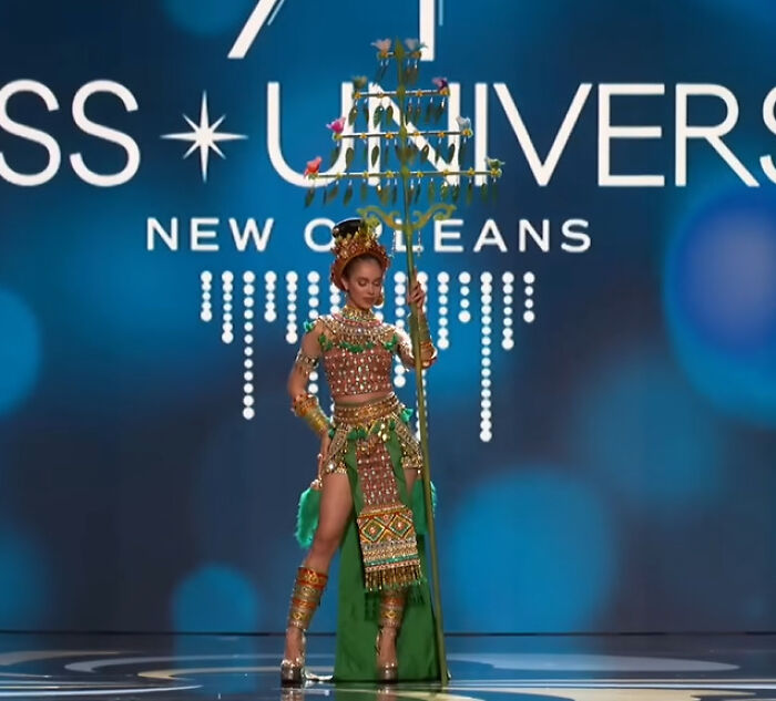 30 Pics Of The Miss Universe Contestants Wearing “National Costumes” 9