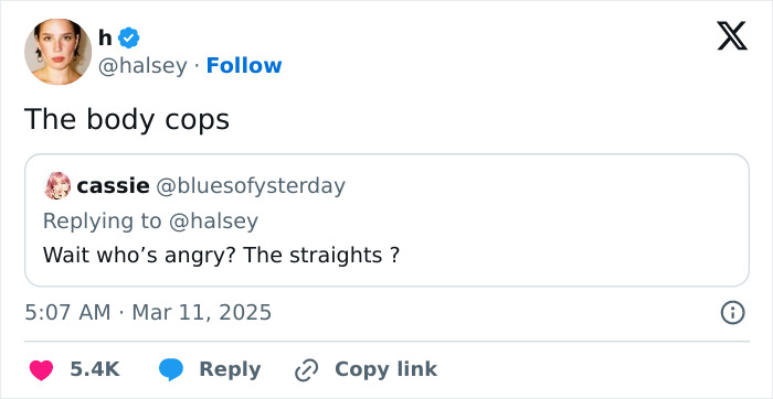 “Body Cops”: Halsey Fires Back At Trolls Criticizing Her For Sharing Racy Photos In Underwear 7