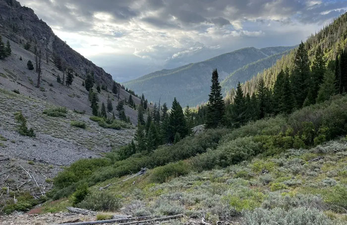 People Suspicious After Missing Hiker Was Found Roaming The Wilderness In Her Underwear 5