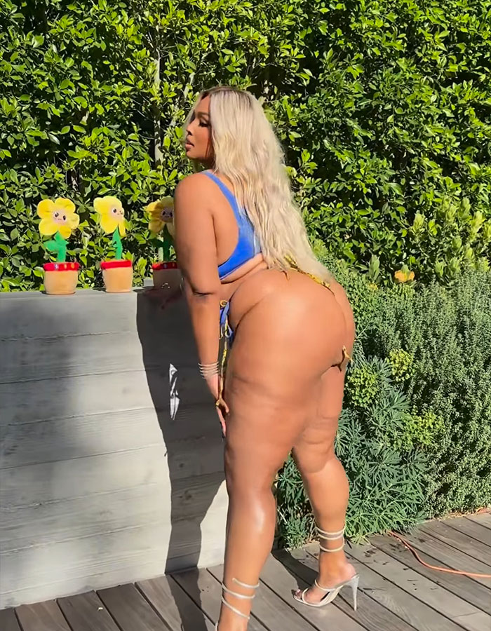 “The Extra Skin Will Never Go Away”: Lizzo’s Bikini Twerk With Grammys Sparks Buzz 3