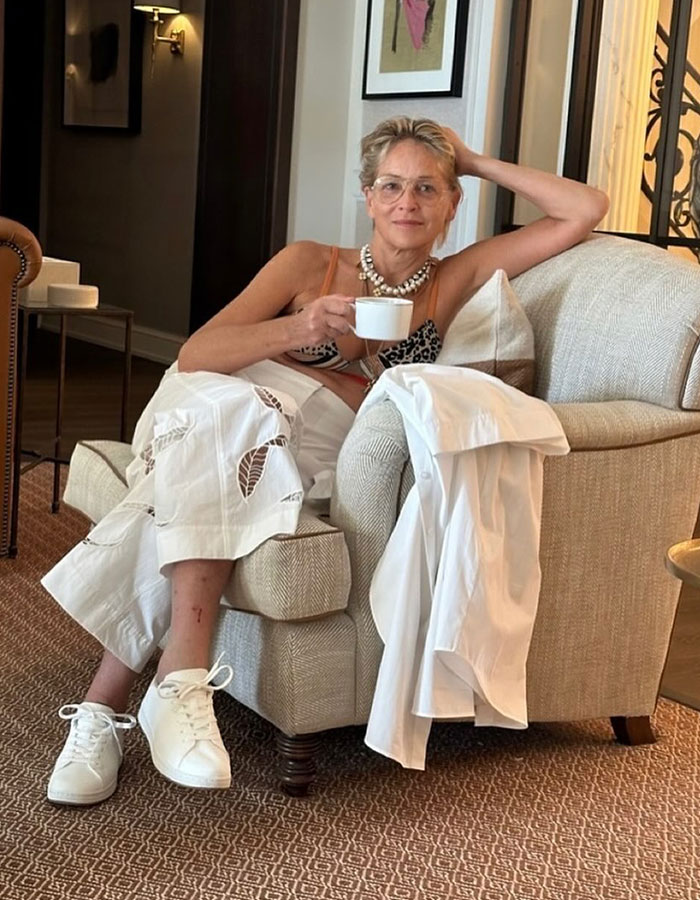 Sharon Stone’s Skimpy Bikini Pool Workout For Nobody 2 Stuns Fans, Bob Odenkirk Says “Can’t Wait” 3