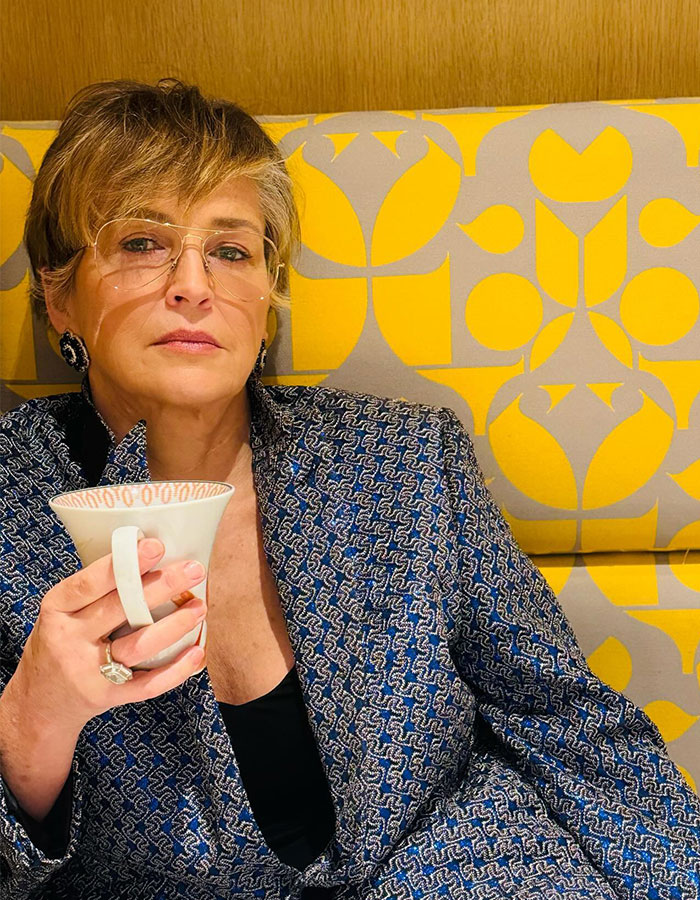 Sharon Stone’s Skimpy Bikini Pool Workout For Nobody 2 Stuns Fans, Bob Odenkirk Says “Can’t Wait” 5